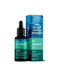 Extrait de chaga 12:1 (Inonotus obliquus), 30 ml –...