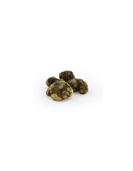 Truffes magiques mystère – cadeau Mycotrop – truffes magiques en gros plan
