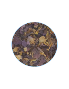 Fleur de lotus bleu – Indian Elements 2