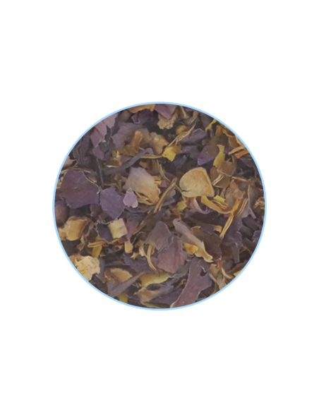 Fleur de lotus bleu – Indian Elements – fleurs séchées en morceaux, gros plan