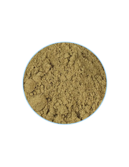 Valériane – poudre brun-vert, gros plan
