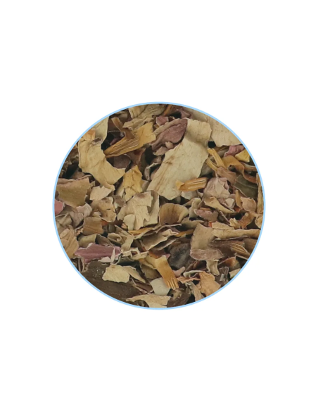 Fleur de lotus blanc – morceaux de pétales séchés et étamines, vue de détail