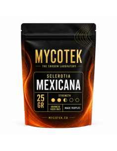 Truffes magiques Psilocybe Mexicana – Mycotek 2