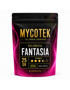 Truffes magiques Psilocybe Fantasia – Mycotek 2
