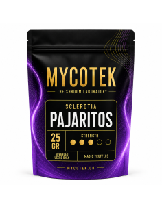 Truffes magiques Psilocybe Pajaritos – Mycotek 2