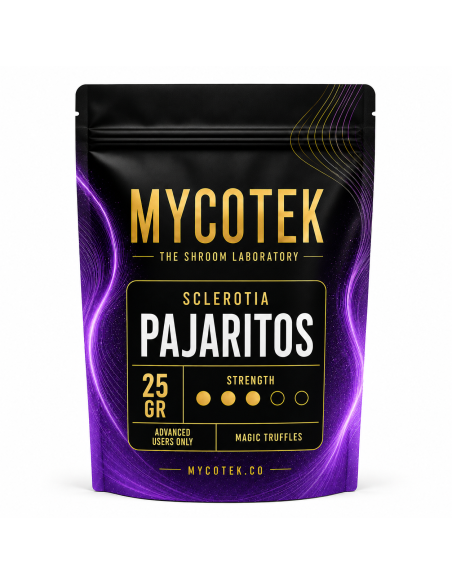 Truffes magiques Psilocybe Pajaritos – Mycotek – sachet de 25 g, vue de face