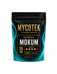 Truffes magiques Psilocybe Mokum – Mycotek 2