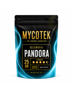 Truffes magiques Psilocybe Pandora – Mycotek 2