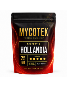 Truffes magiques Psilocybe Hollandia – Mycotek 2