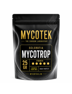 Truffes magiques Psilocybe Mycotrop – Mycotek 2