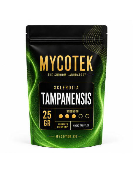 Truffes magiques Psilocybe Tampanensis – Mycotek – sachet de 25 g, vue de face
