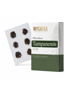 Pack microdosage Tampanensis – Mycotek, 6 × 1 g