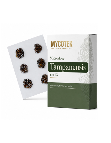Pack microdosage Tampanensis – Mycotek, 6 × 1 g – boîte verte et carton placé derrière