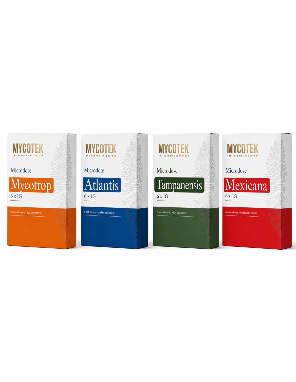 Pack microdosage Atlantis – Mycotek, 6 × 1 g – les quatre boîtes Mycotek 6 × 1 g côte à côte