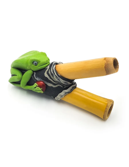 Kuripe en bambou – Kambo – grenouille sur le corps veiné, détail