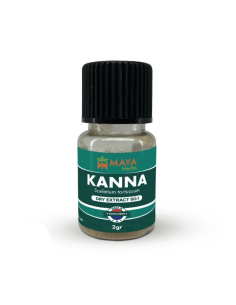 Extrait sec de kanna 50:1 (Sceletium tortuosum) 2