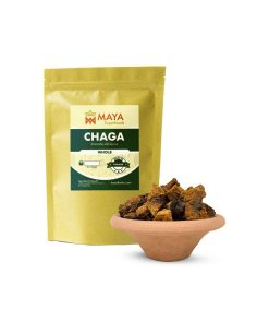 Chaga entier (Inonotus obliquus) – récolte sauvage, Finlande