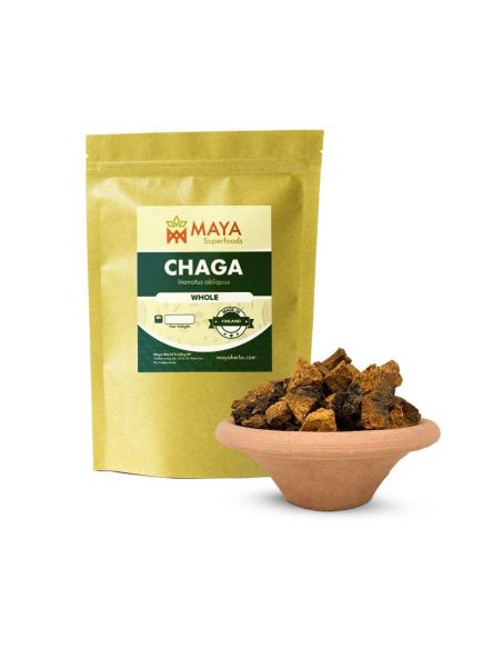 Chaga entier (Inonotus obliquus) – récolte sauvage, Finlande – sachet et morceaux