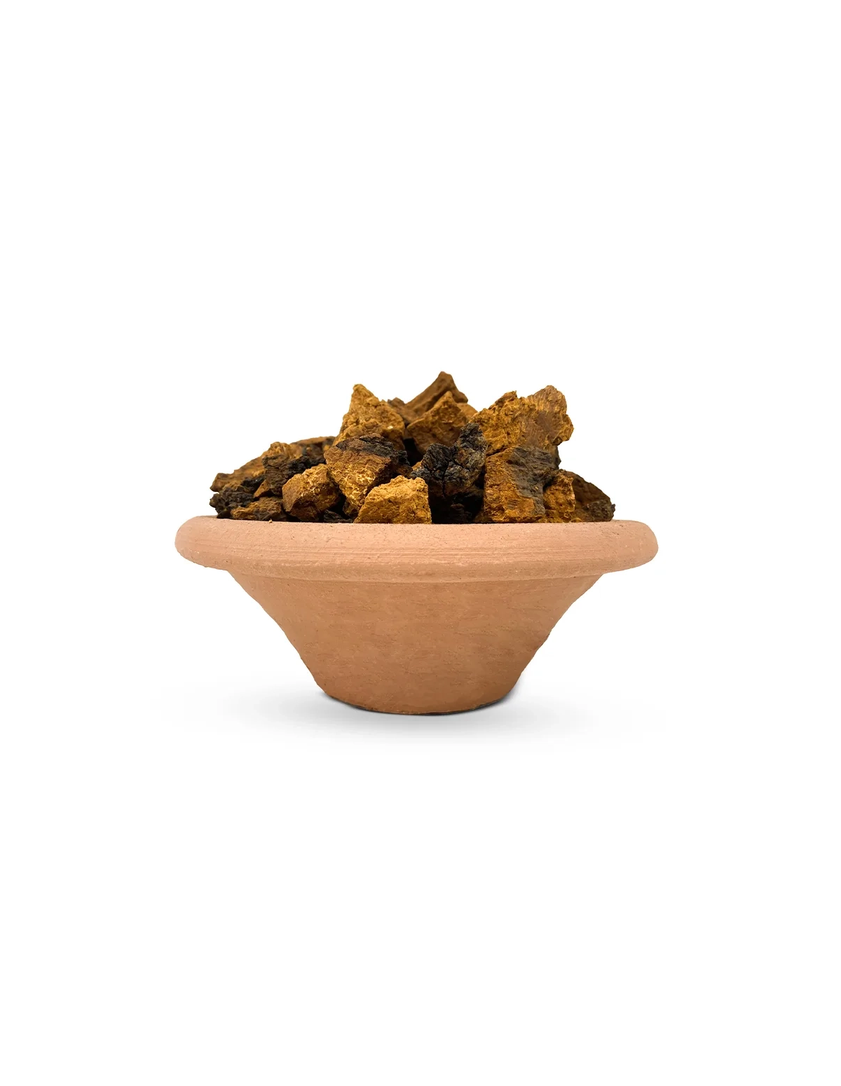 Chaga entier (Inonotus obliquus) – récolte sauvage, Finlande – morceaux dans une coupelle