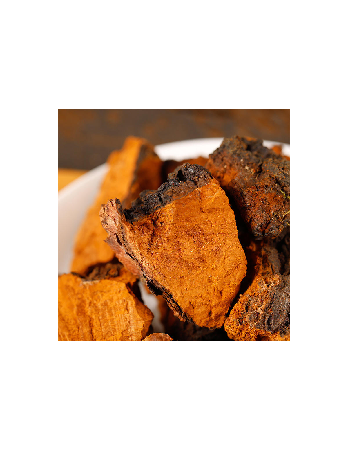 Chaga entier (Inonotus obliquus) – récolte sauvage, Finlande – cassures en gros plan