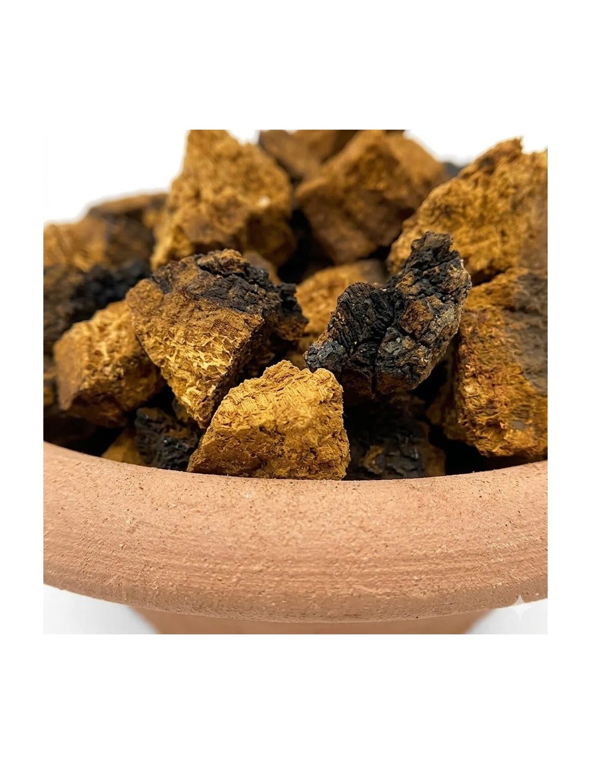 Chaga entier (Inonotus obliquus) – récolte sauvage, Finlande – détail des morceaux