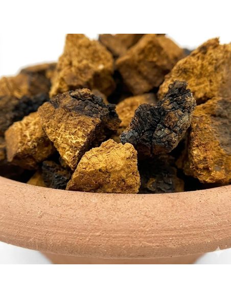 Chaga entier (Inonotus obliquus) – récolte sauvage, Finlande – détail des morceaux