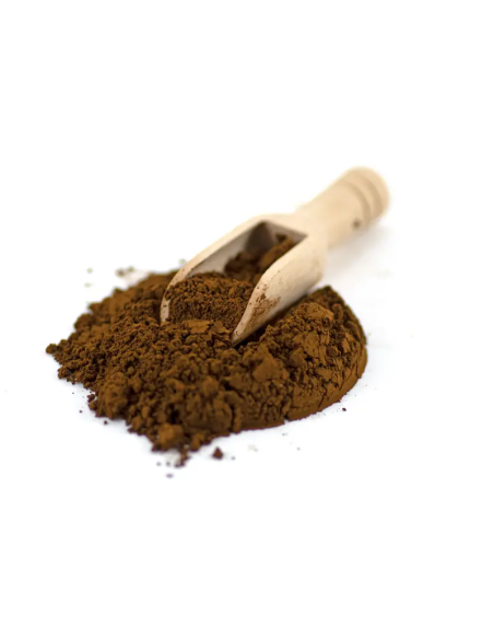 Poudre de chaga (Inonotus obliquus) – récolte sauvage, Finlande, 100 g – poudre et cuillère en bois