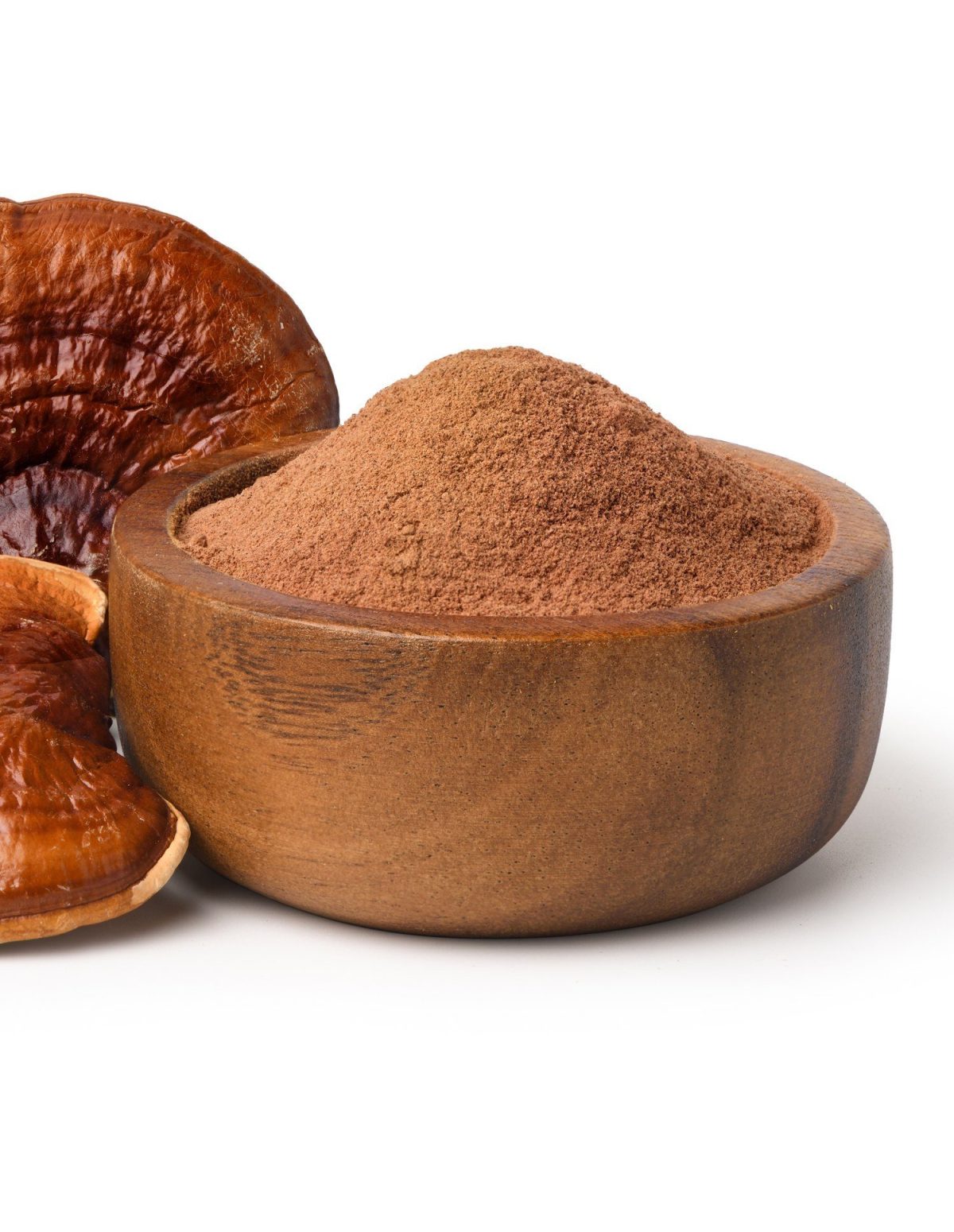 Poudre de reishi (Ganoderma lucidum) – ling zhi de Chine, 100 g – poudre et carpophores
