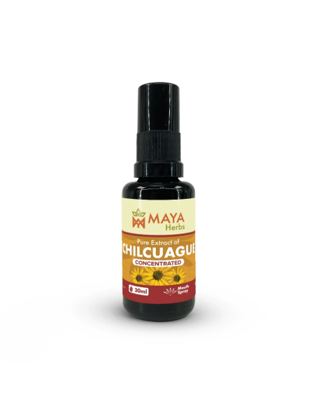 Extrait de chilcuague (Heliopsis longipes), spray concentré, 30 ml – flacon avec bouchon spray