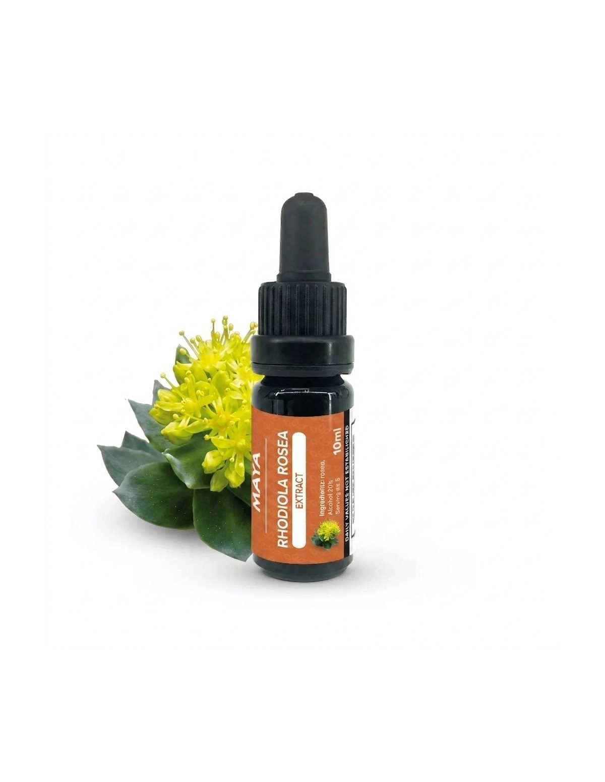 Extrait de rhodiola (Rhodiola rosea) – 10 ml – flacon à côté d’une plante en fleur