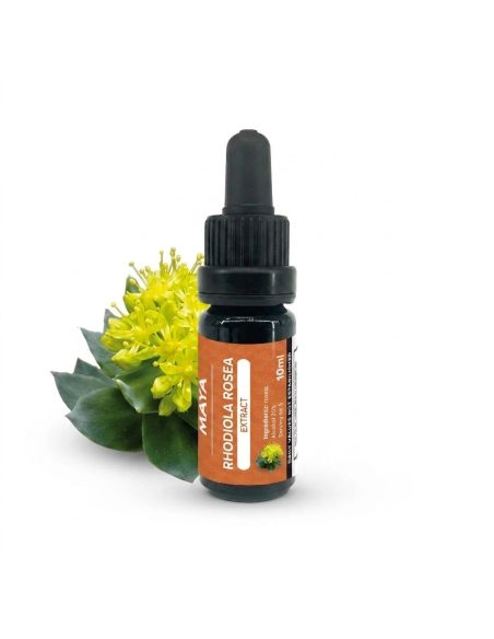Extrait de rhodiola (Rhodiola rosea) – 10 ml – flacon à côté d’une plante en fleur