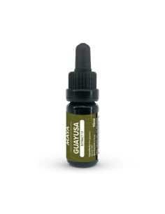 Extrait de guayusa 1:1 (Ilex guayusa) d’Équateur, 10 ml –...
