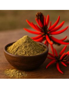 Teinture de mulungu 1:1 (Erythrina mulungu) – 30 ml 2