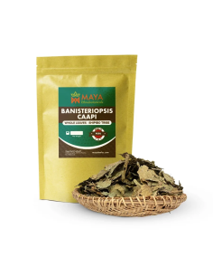 Feuilles de caapi Cielo (Banisteriopsis caapi) – Shipibo,...