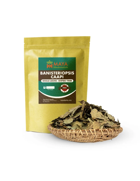 Feuilles de caapi Cielo (Banisteriopsis caapi) – Shipibo, Pérou – sachet Maya et feuilles dans une corbeille