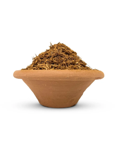 Liane Cielo (Banisteriopsis caapi) – broyée, Pérou 2