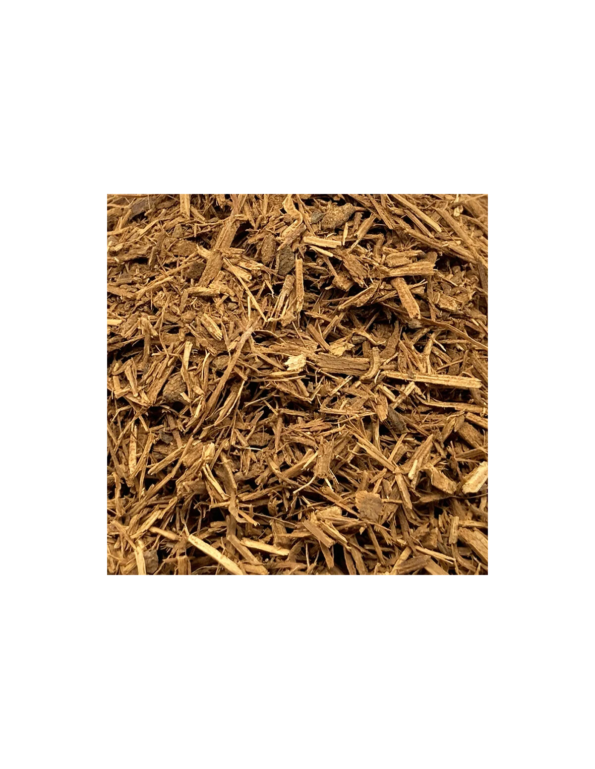 Liane Cielo (Banisteriopsis caapi) – broyée, Pérou – gros plan de la coupe