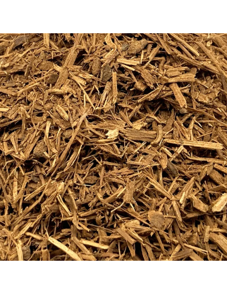 Liane Cielo (Banisteriopsis caapi) – broyée, Pérou – gros plan de la coupe