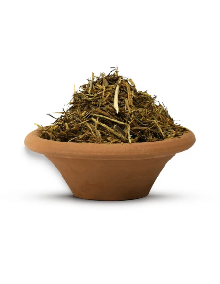 Ayahuasca jaune (Banisteriopsis caapi) – liane broyée du Pérou – liane broyée dans un bol en terre cuite