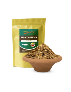 Ayahuasca rouge (Banisteriopsis muricata) – liane broyée...