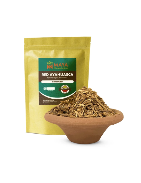 Ayahuasca rouge (Banisteriopsis muricata) – liane broyée d’Équateur – sachet Maya à côté d’un bol de liane broyée