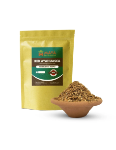 Ayahuasca rouge (Banisteriopsis muricata) – liane broyée,...