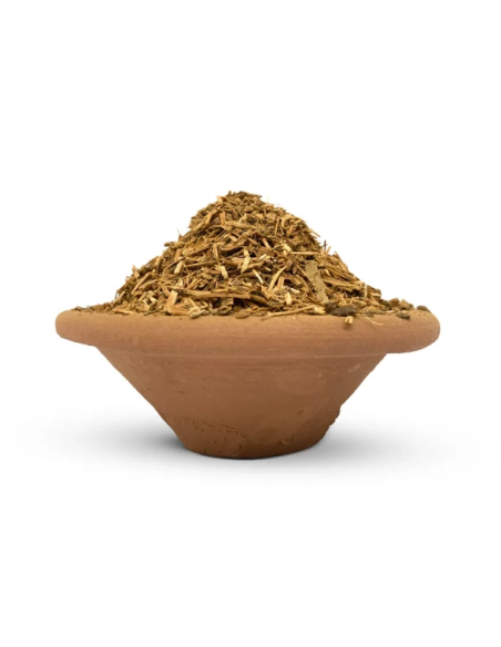 Ayahuasca rouge (Banisteriopsis muricata) – liane broyée, Napo, Pérou – liane broyée dans un bol