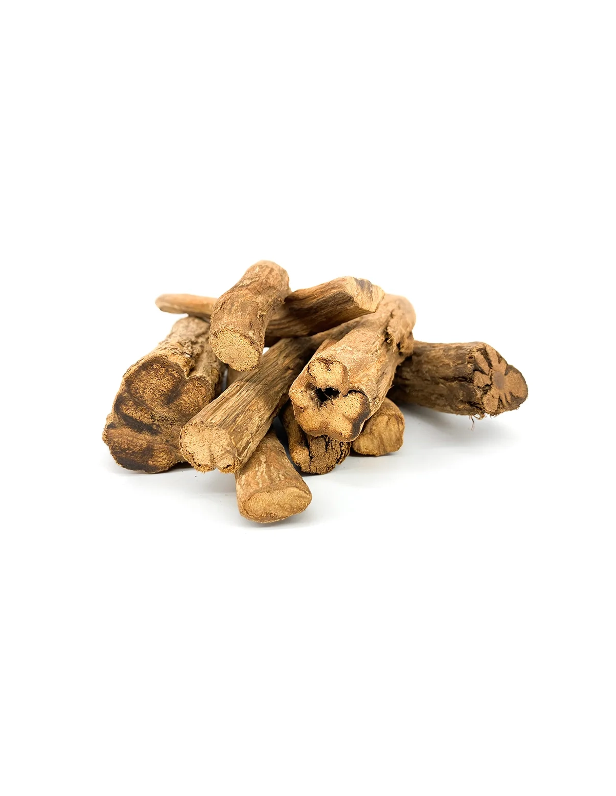 Ayahuasca jaune (Banisteriopsis caapi) – liane entière, Pérou – tronçons de liane