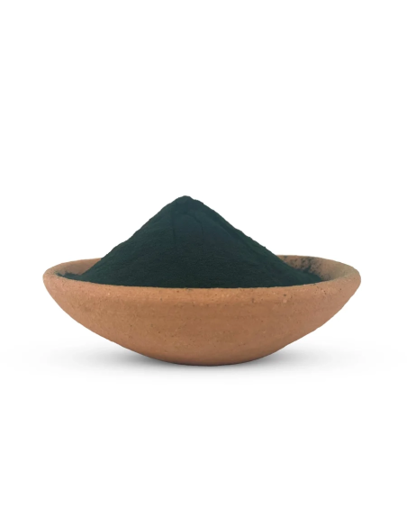Spiruline – Spirulina platensis – poudre bleu-vert dans une coupelle en terre cuite