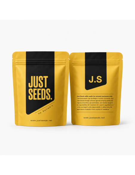 Graines White Widow Auto – Just Seeds – sachet Just Seeds, recto et verso