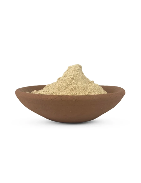 Maca – Lepidium meyenii – poudre de racine dans un bol en terre cuite