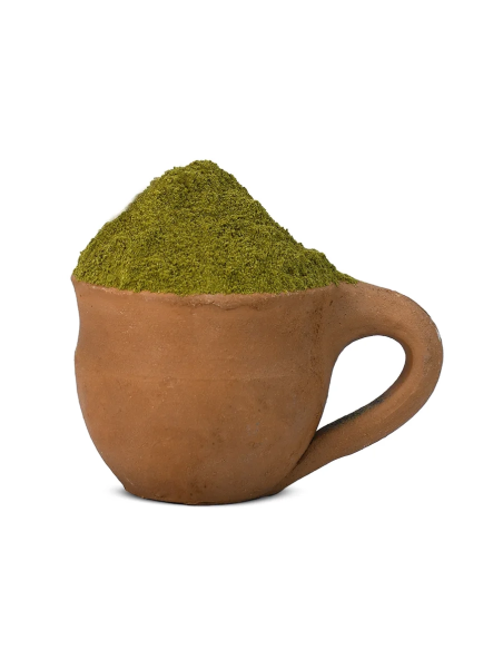 Ginkgo (Ginkgo biloba) – poudre de feuille dans une tasse en terre cuite