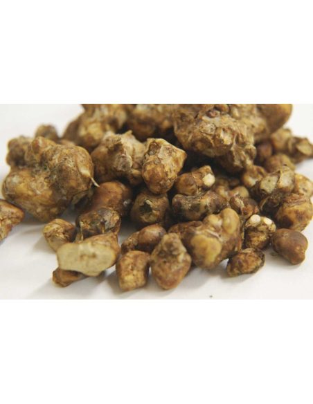 Cadeau – truffes magiques, 15 g – truffes en gros plan