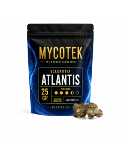 Truffes magiques Psilocybe Atlantis – Mycotek